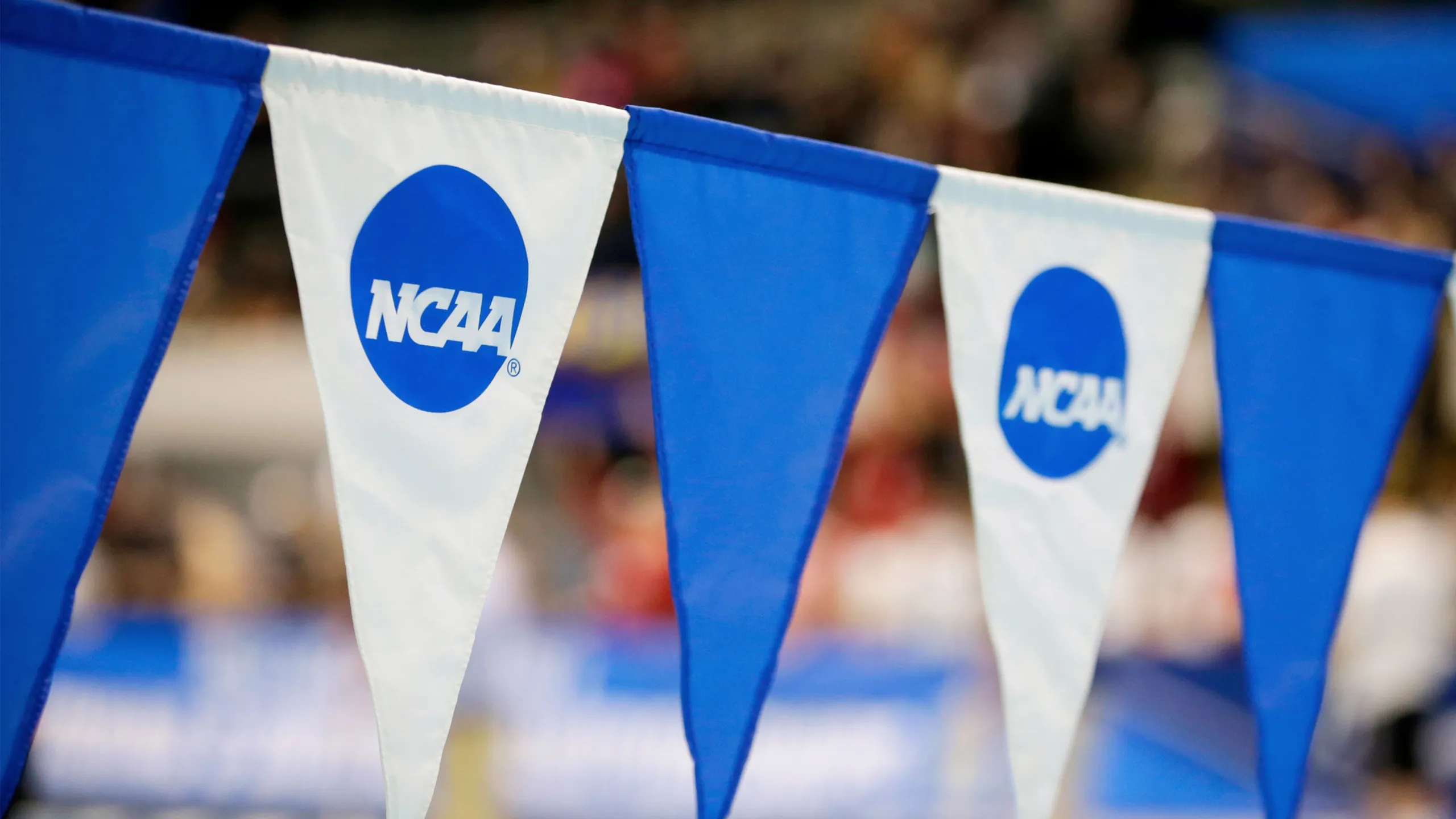 College Swimming League (Stanford, Cal, Ohio State, Auburn)