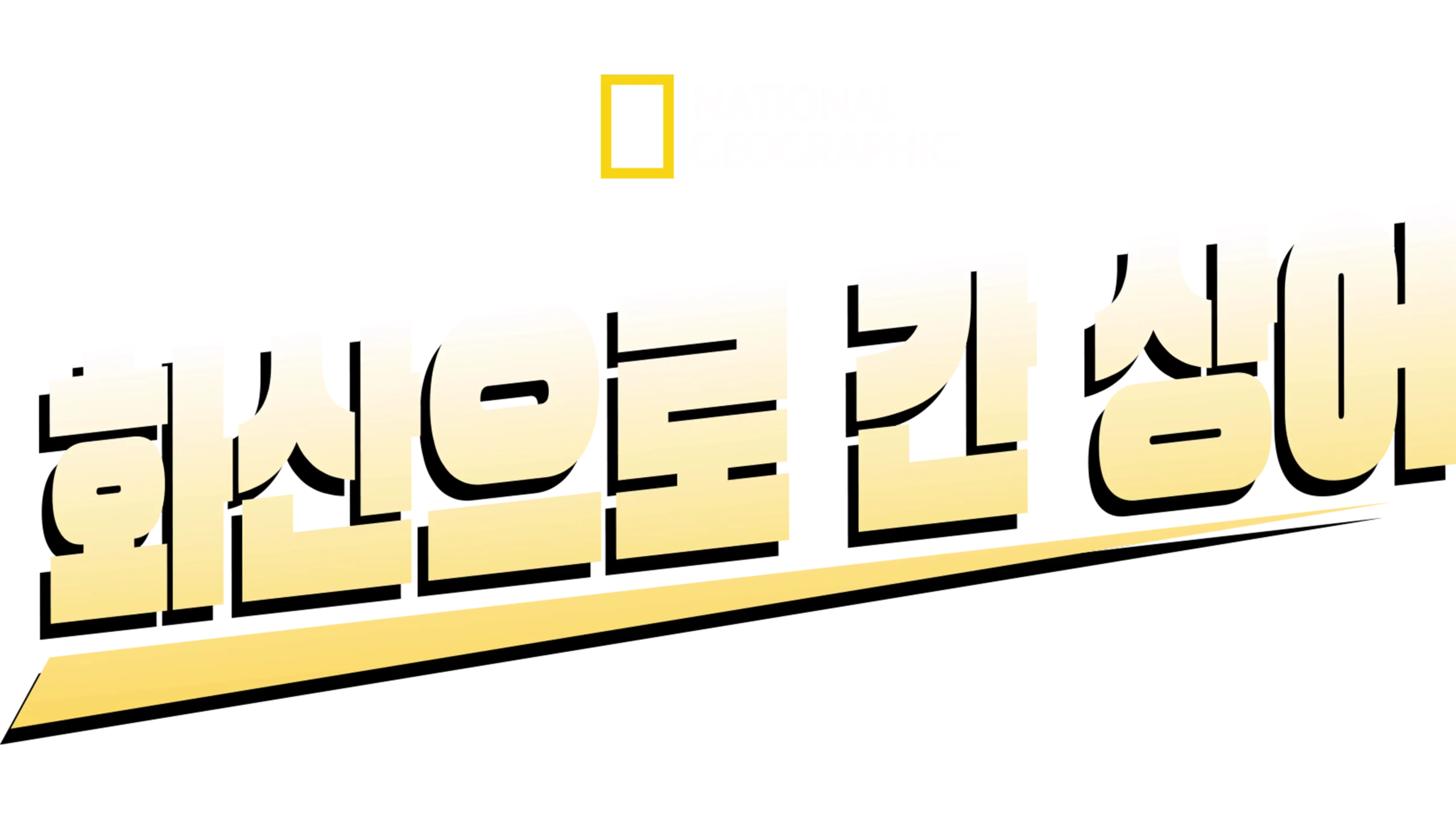 화산으로 간 상어