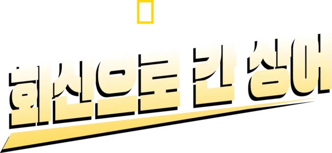 화산으로 간 상어