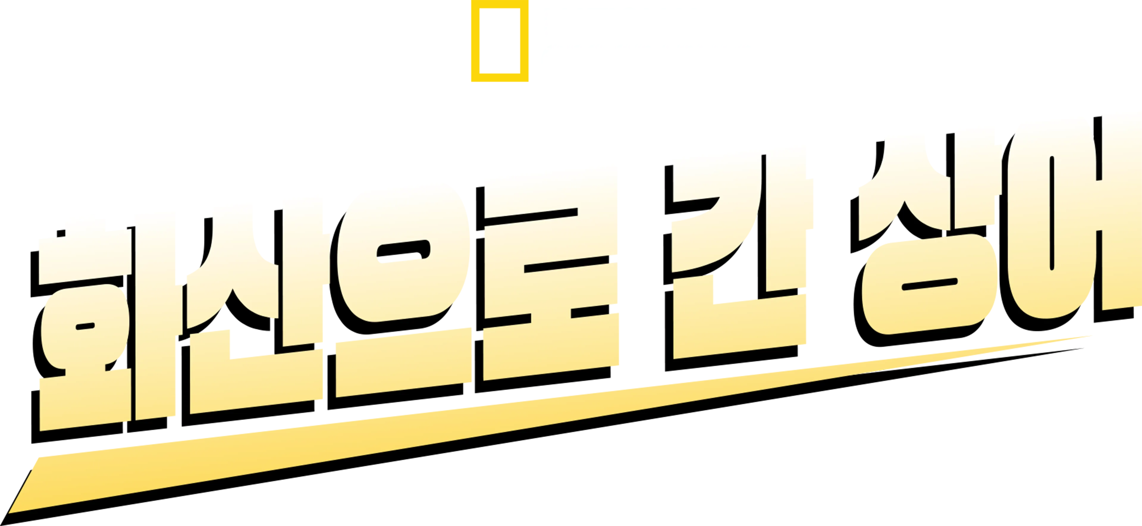 화산으로 간 상어