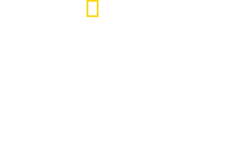 Hitler’s Battle Against The Press