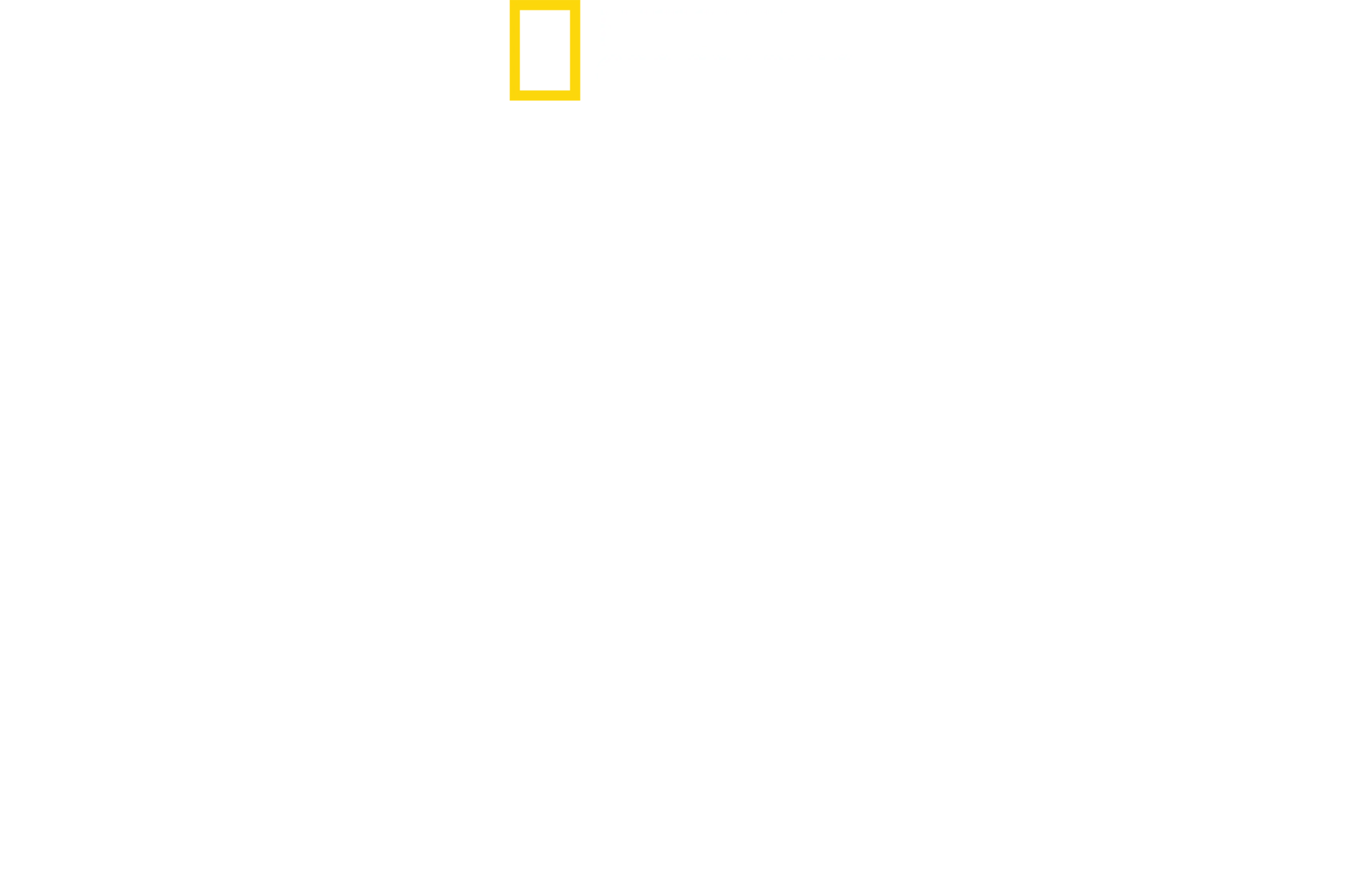Hitler’s Battle Against The Press