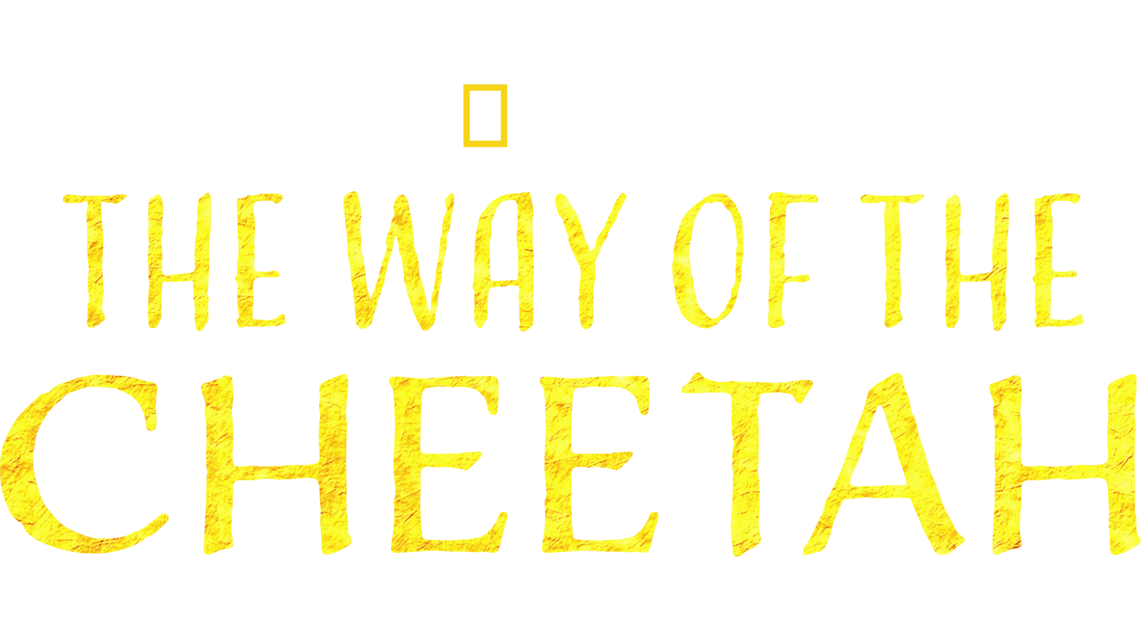 The Way of the Cheetah