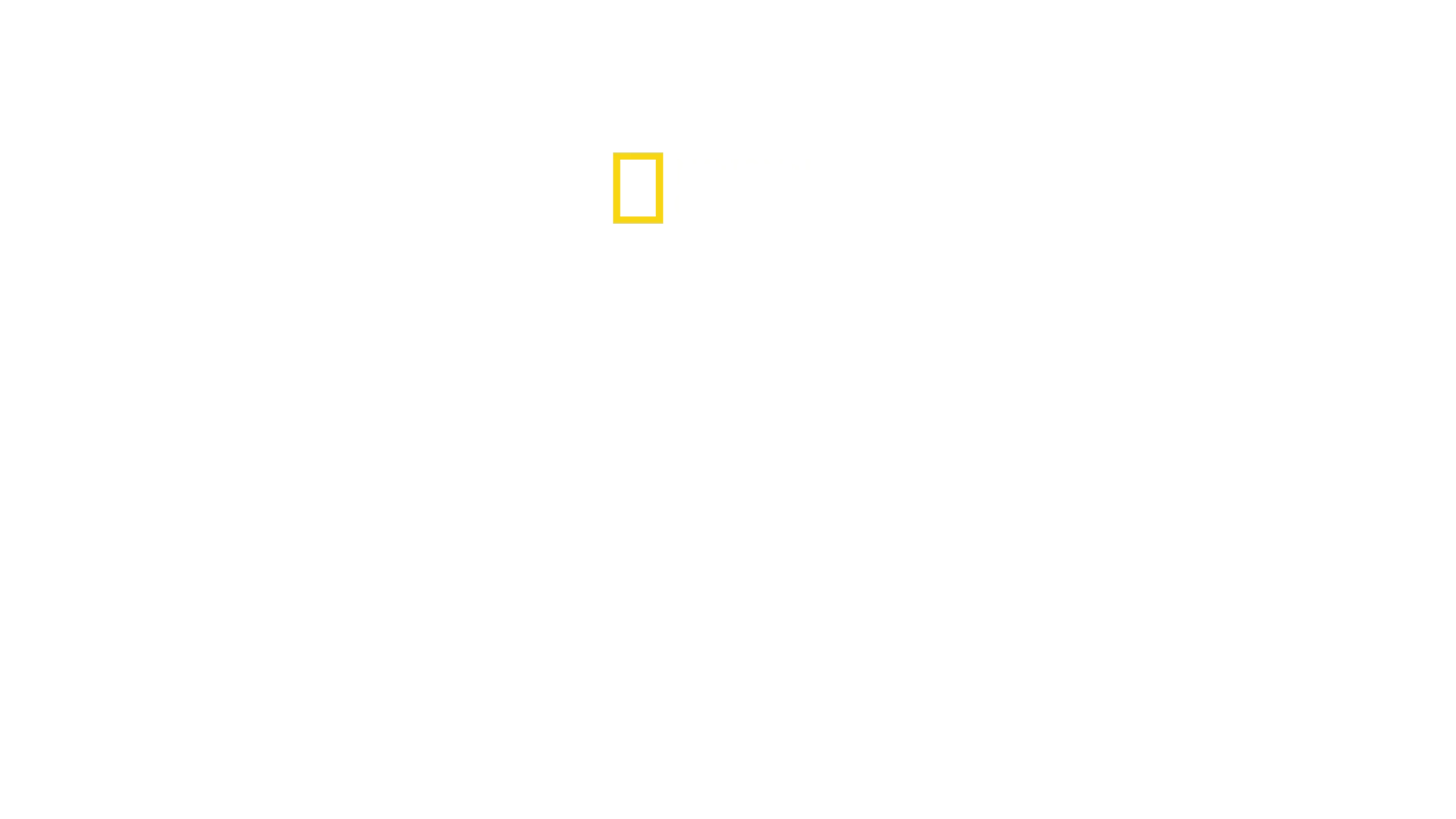 Paraíso Tiburón