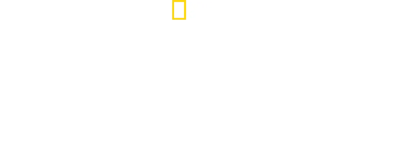 Paraíso Tiburón