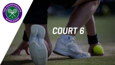 Court 6