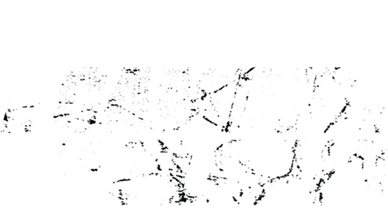 Camino a la gloria