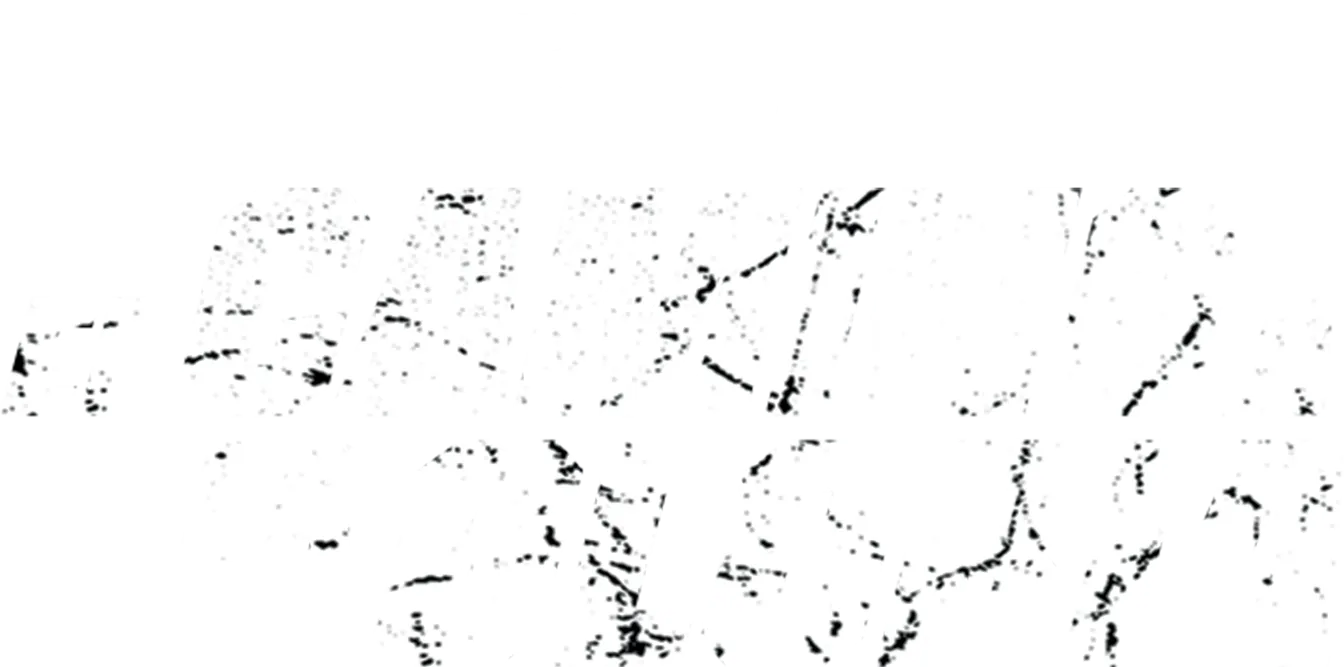 Camino a la gloria