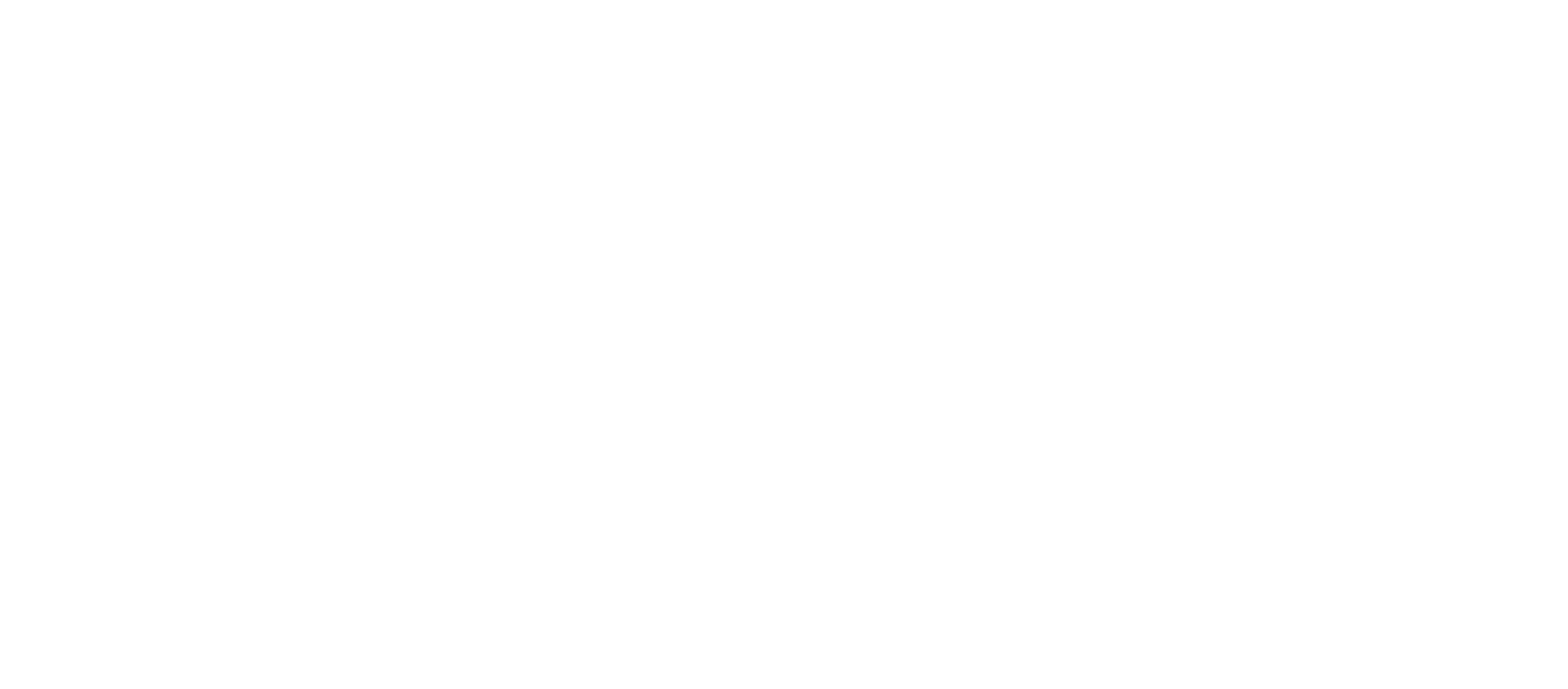 Falsa influencer