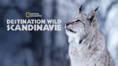 Destination Wild Scandinavie