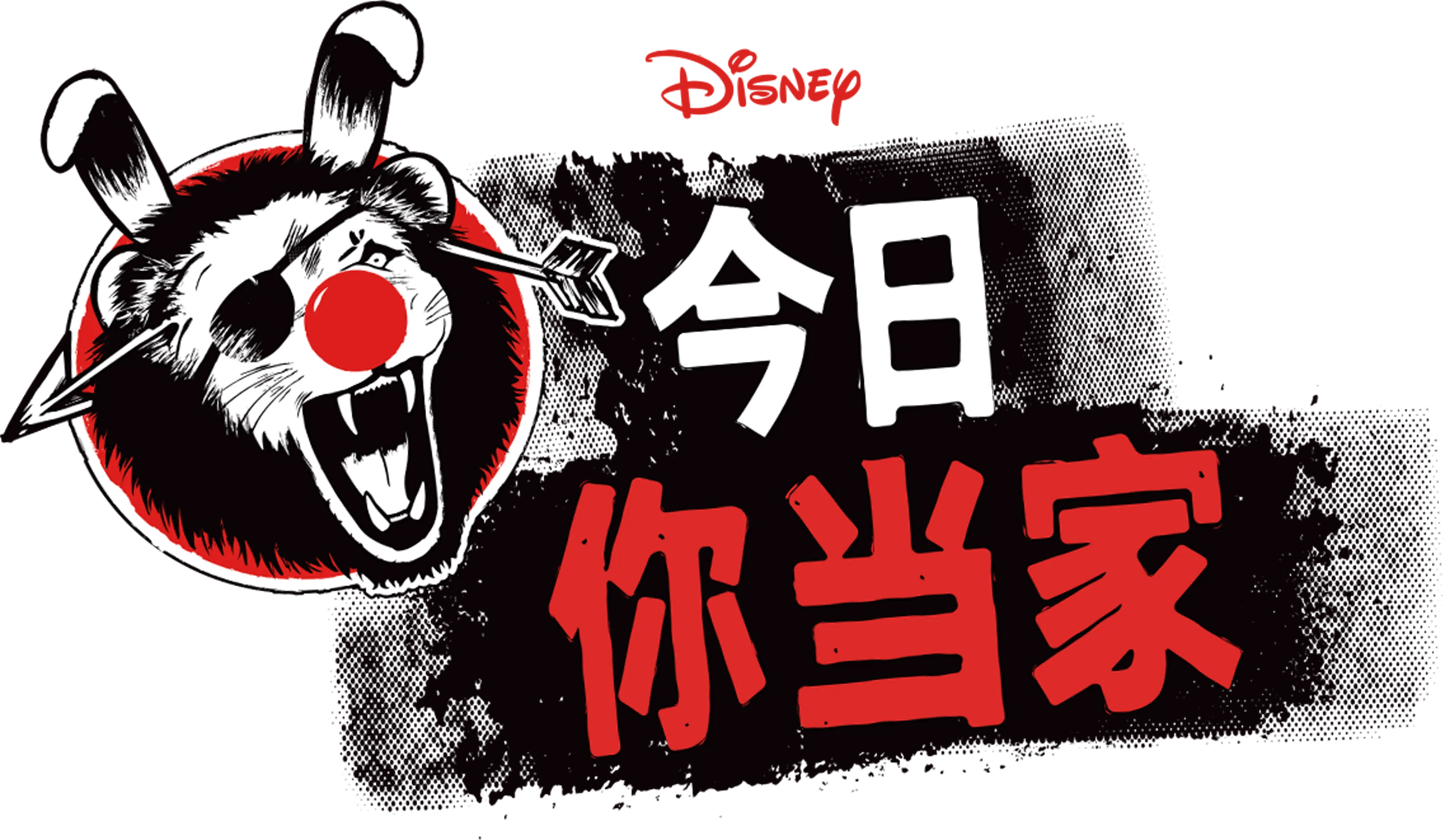 今日你当家