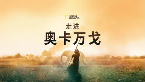 thumbnail - 走进奥卡万戈