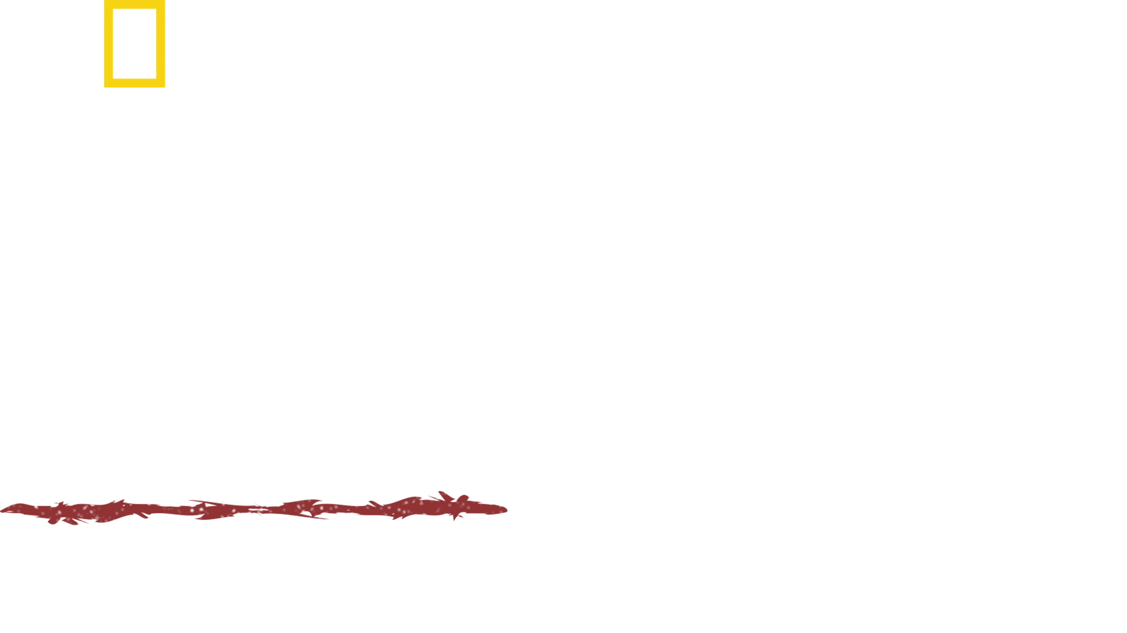 原始求生記：逃出亞馬遜