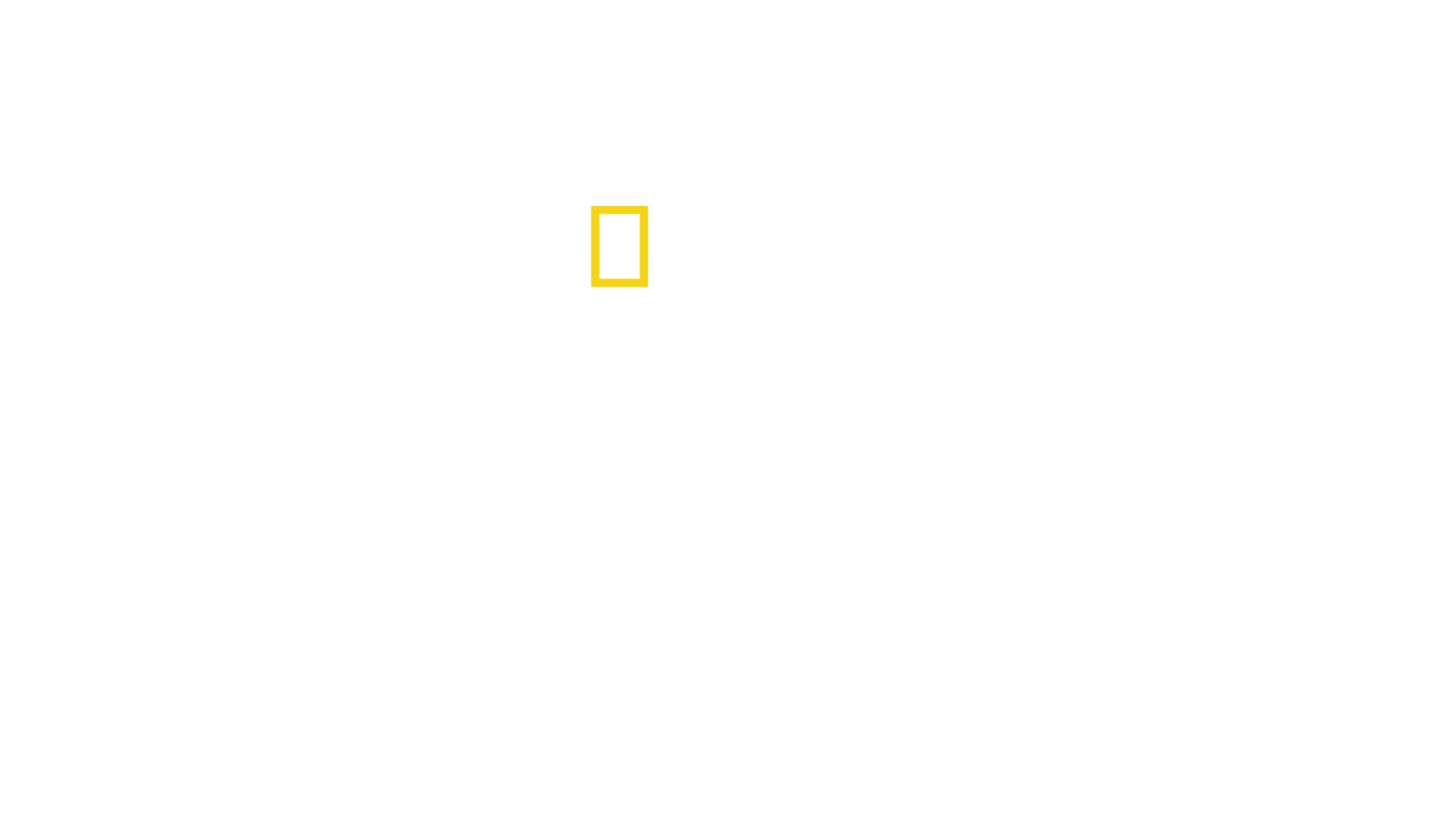 Egyiptom elveszett kincsei