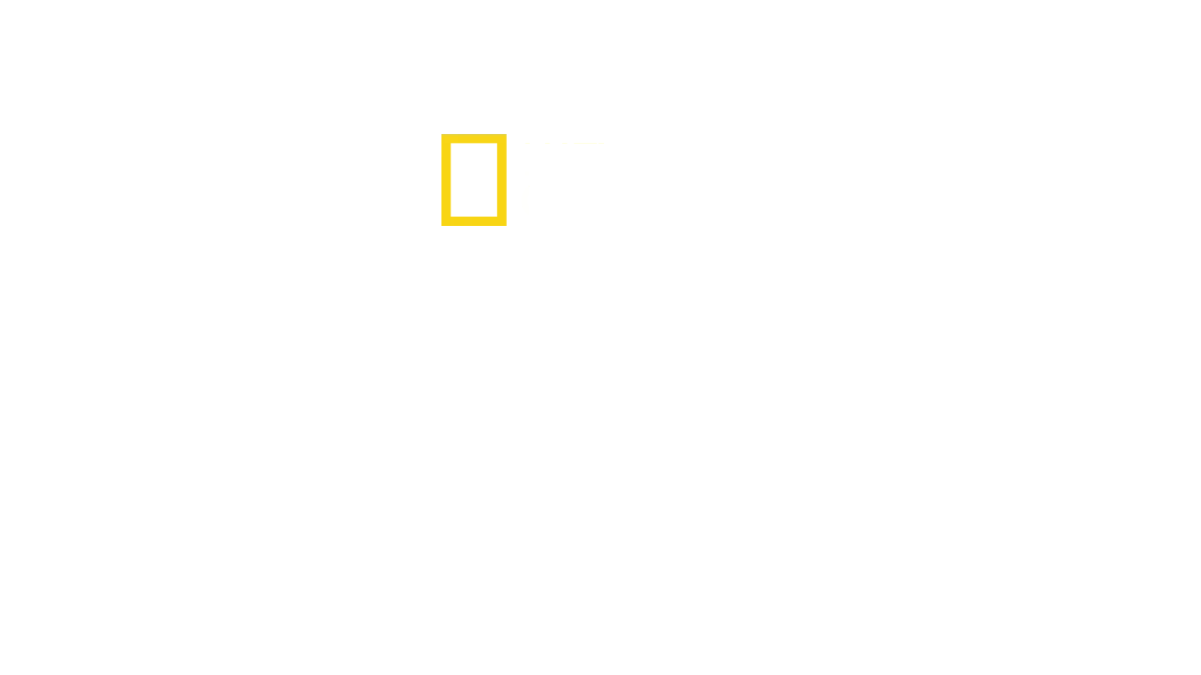 Origens: A Evolução Humana