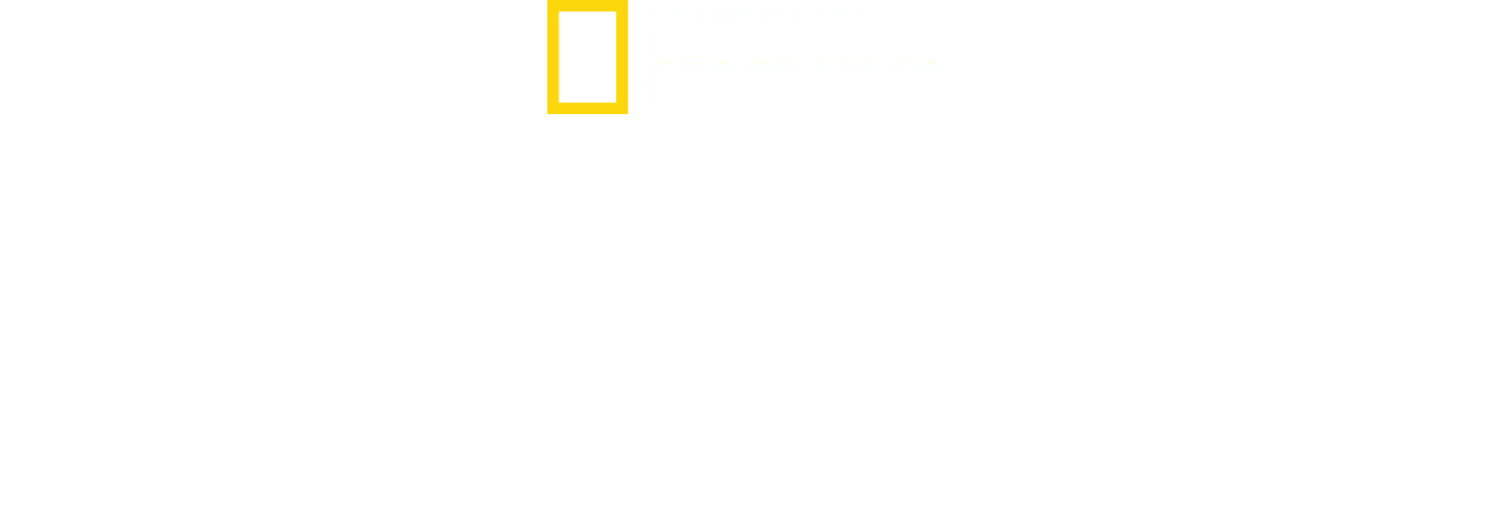 Origens: A Evolução Humana