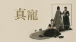 thumbnail - 真寵