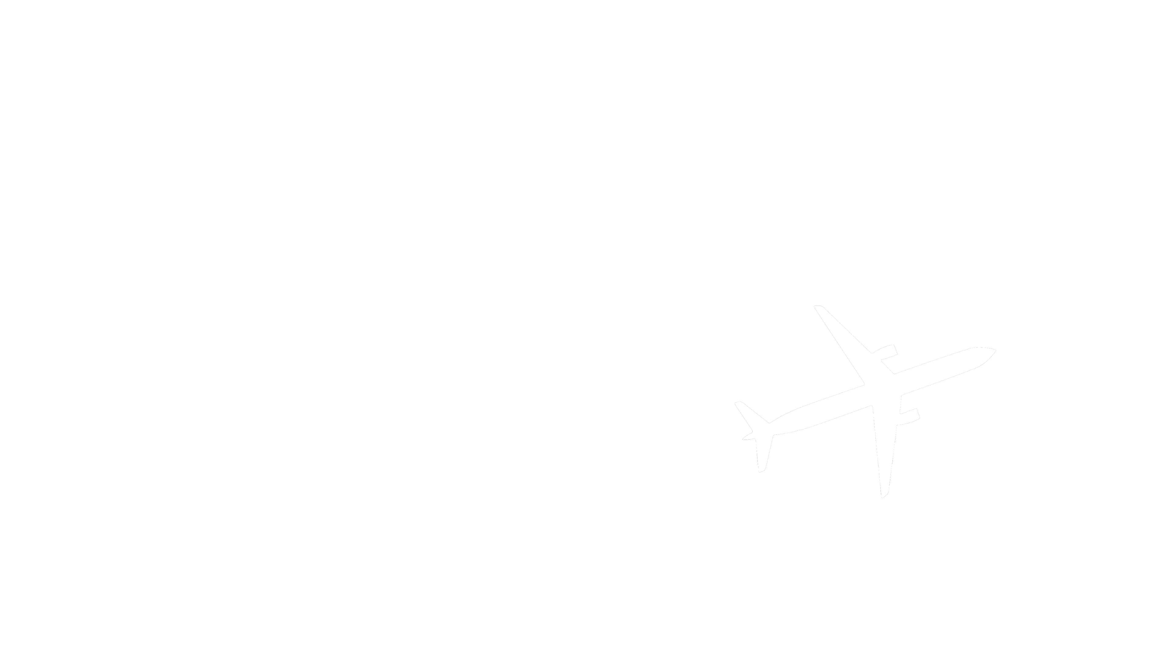 Ligera de equipaje