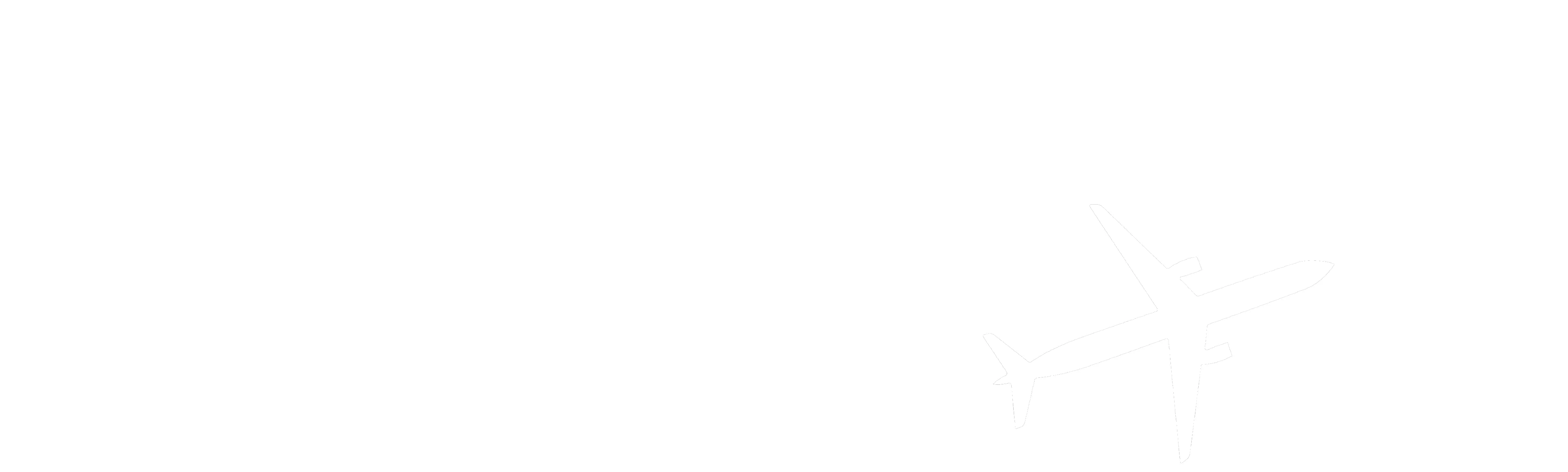 Ligera de equipaje