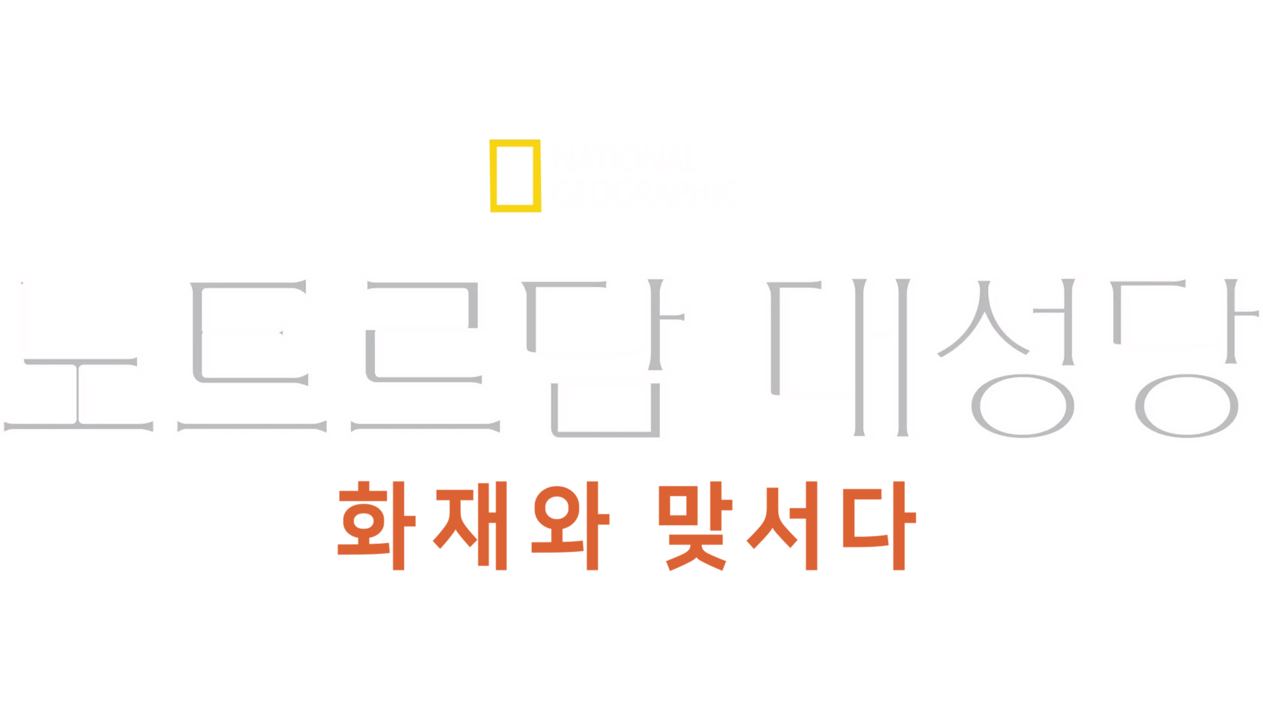노트르담 대성당: 화재와 맞서다