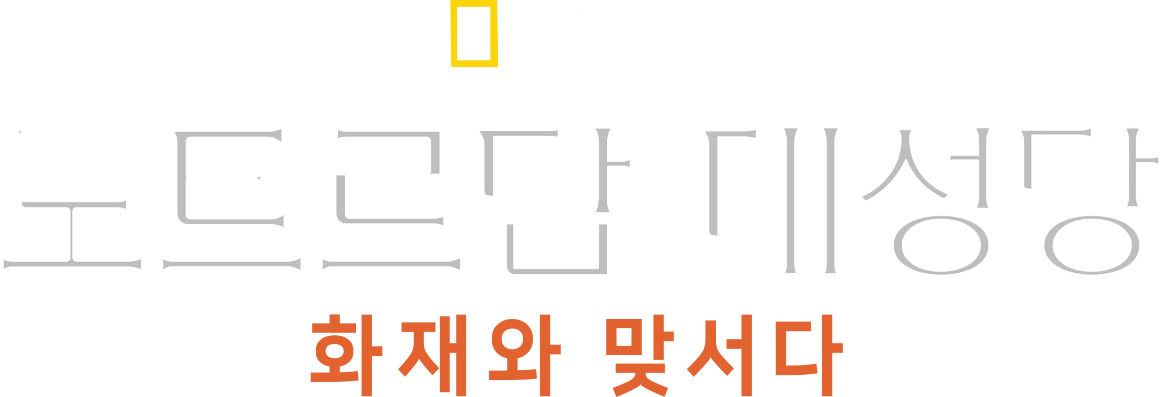 노트르담 대성당: 화재와 맞서다