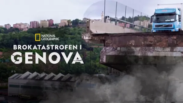 thumbnail - Brokatastrofen i Genova