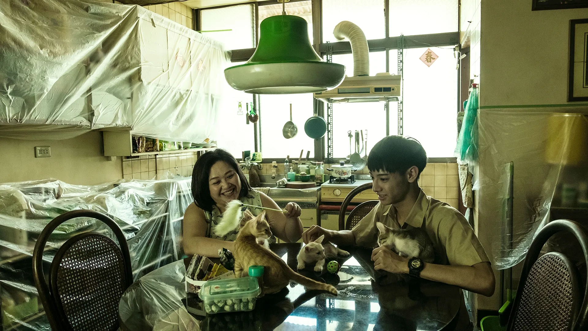 thumbnail - 第 1 季第 4 集：貓的孩子
