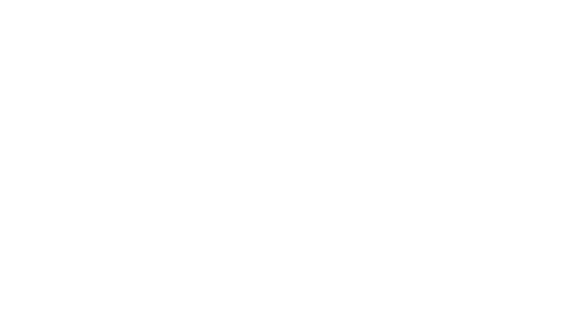 特務家族
