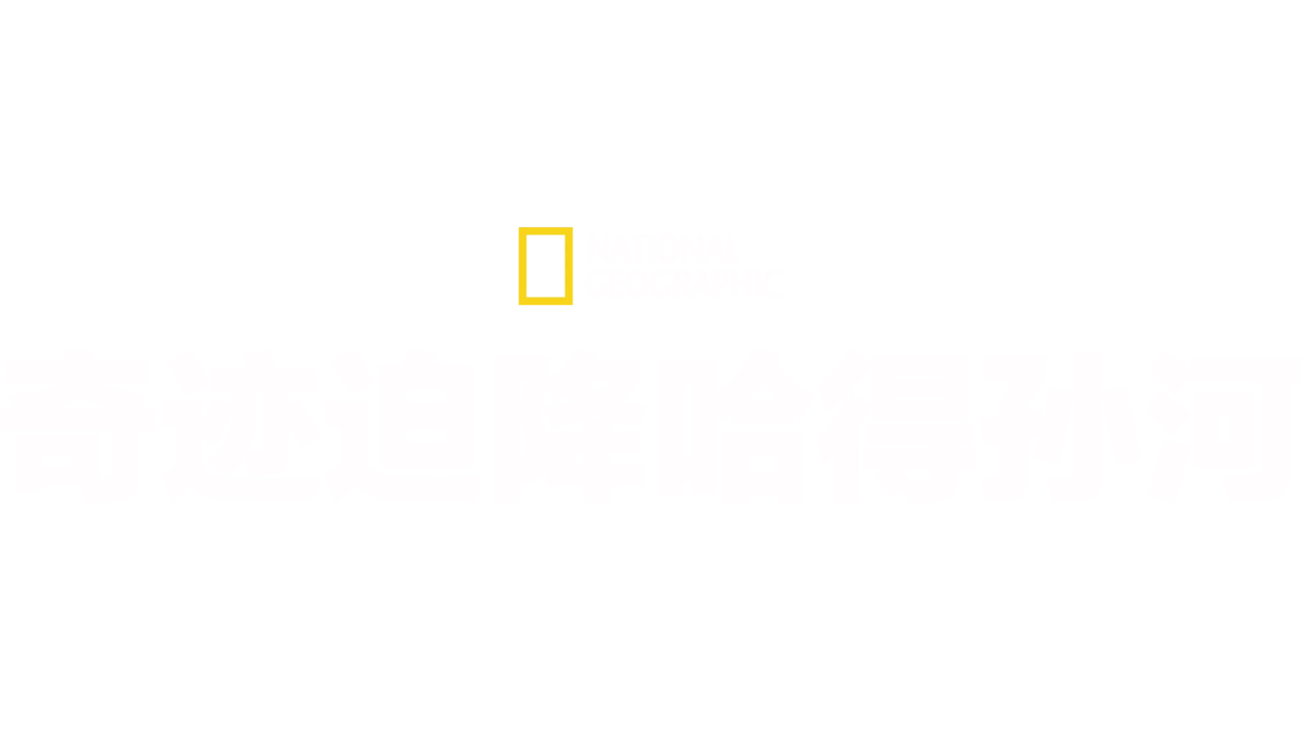 奇迹迫降哈得孙河