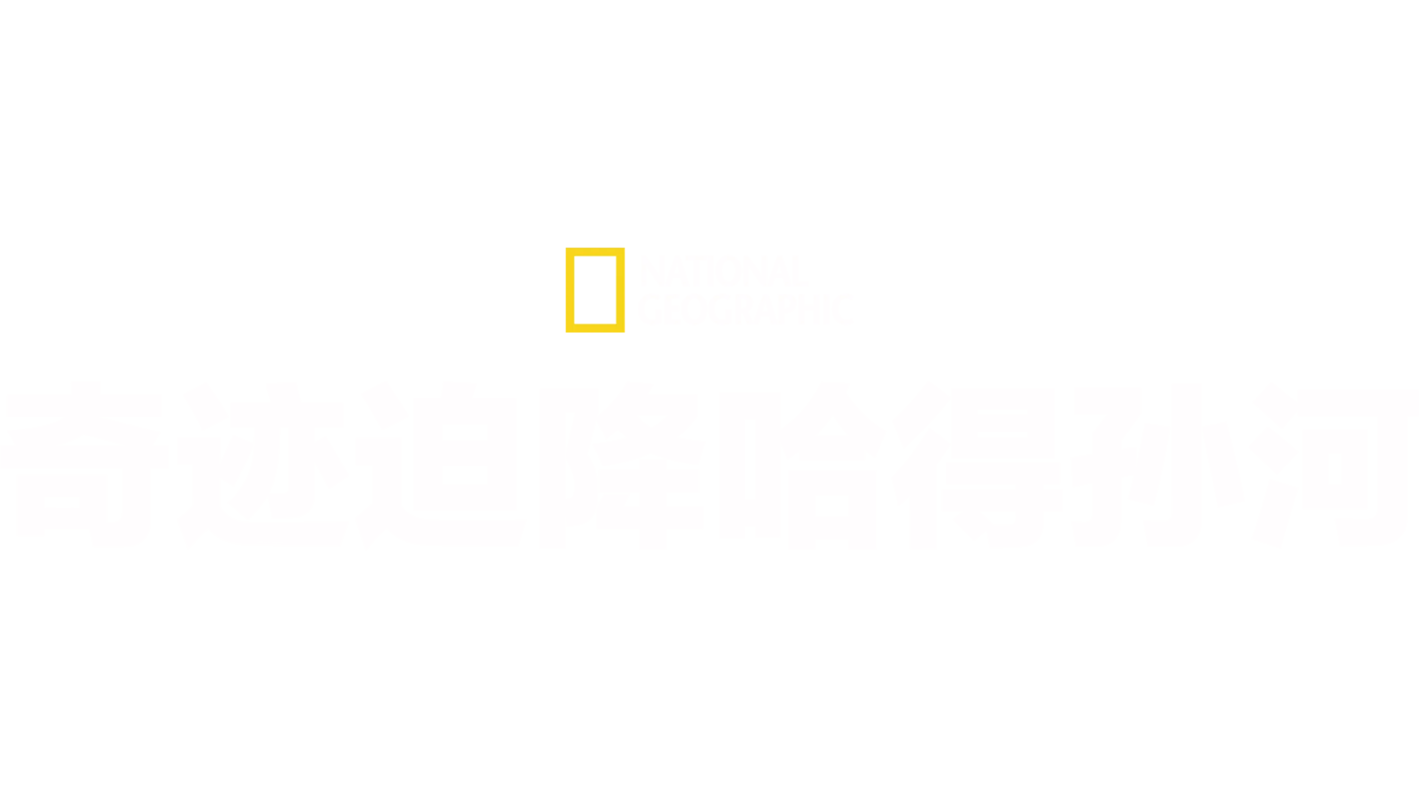 奇迹迫降哈得孙河