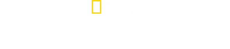 奇迹迫降哈得孙河