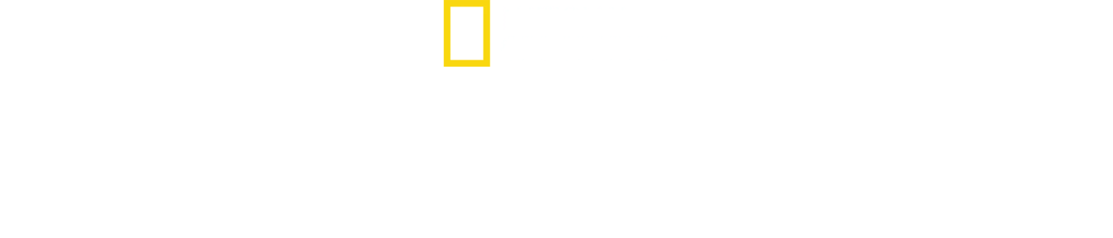 奇迹迫降哈得孙河