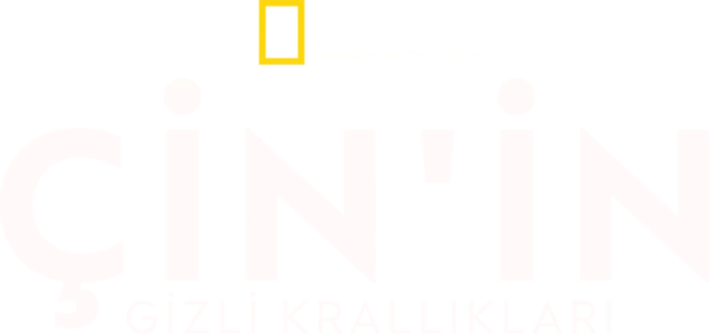 Çin'in Gizli Krallıkları