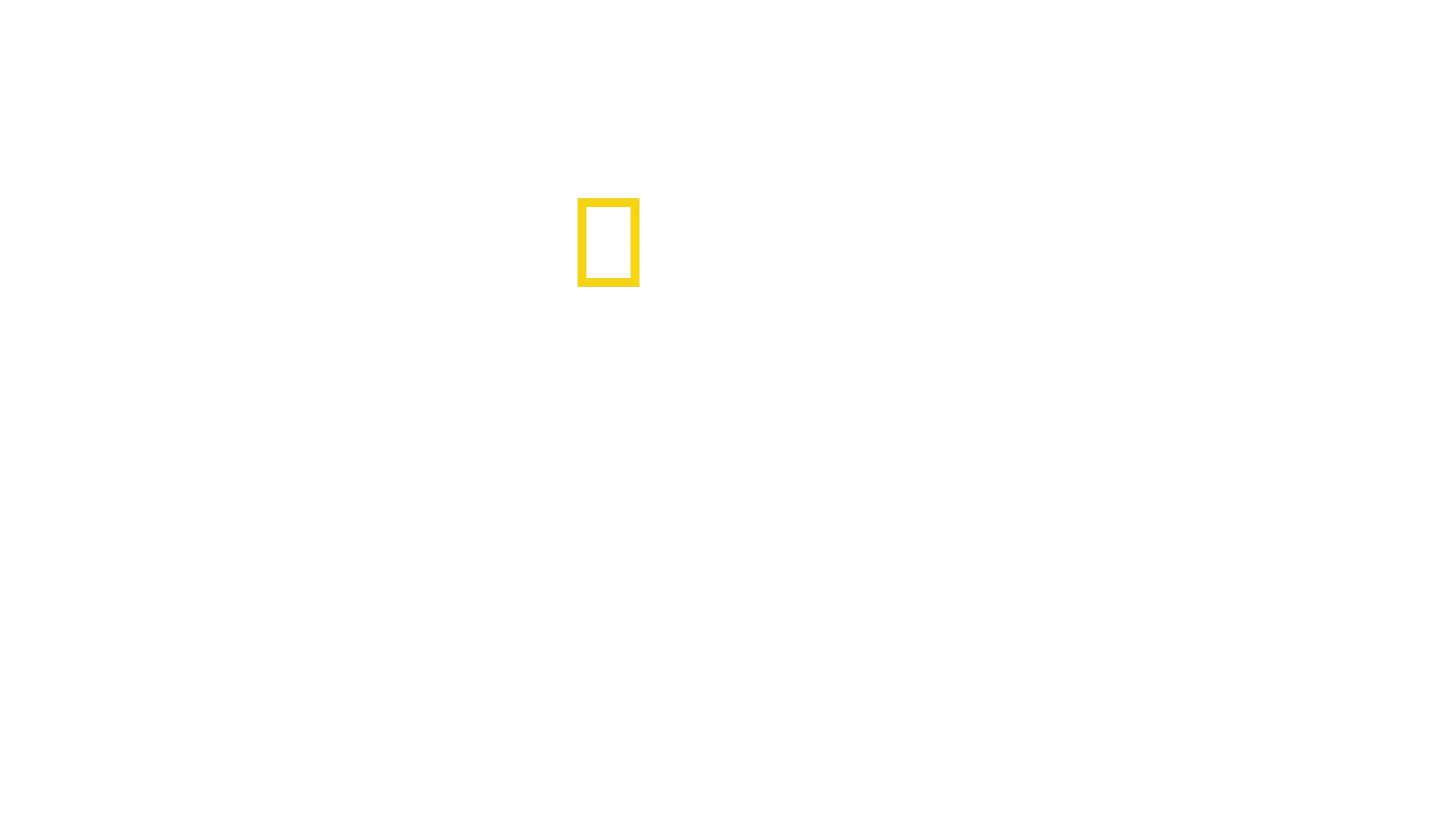 Secretele Caracatiței