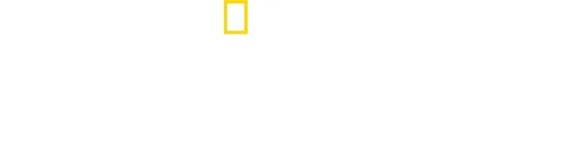 Secretele Caracatiței