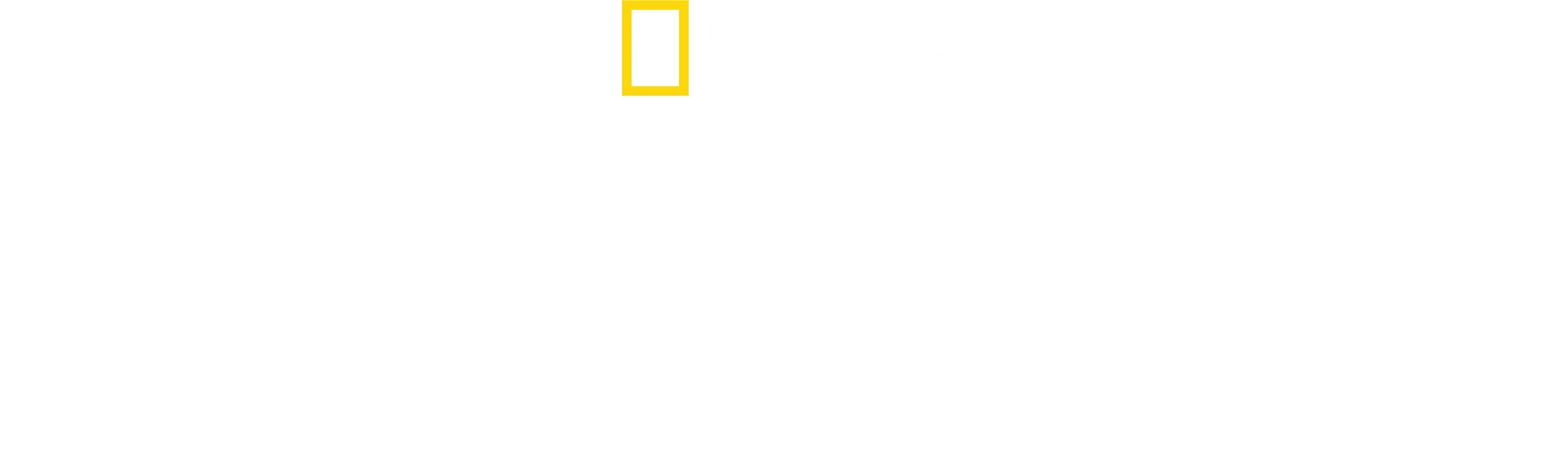 Secretele Caracatiței
