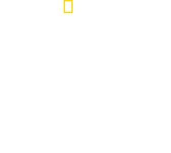 古埃及寶藏守護者