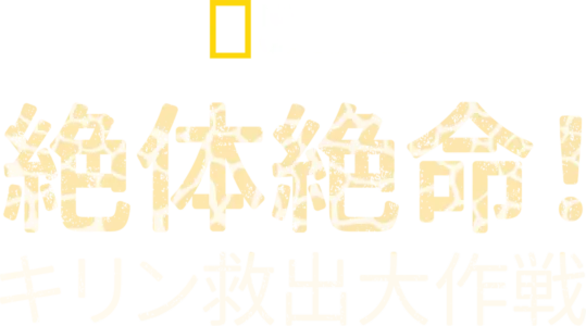 絶体絶命！キリン救出大作戦