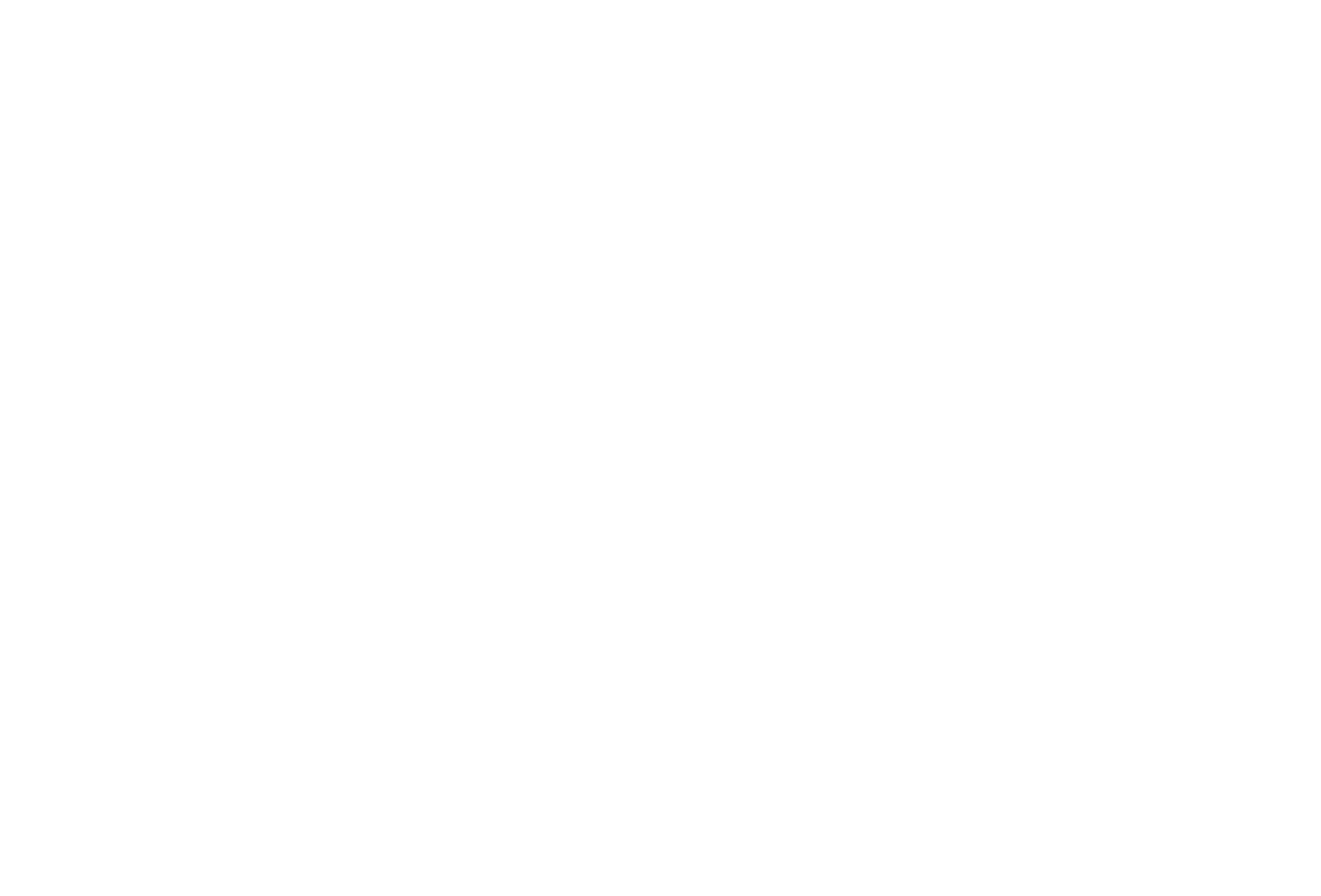 The American Pope: Leo XIV