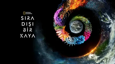 Sıra Dışı Bir Kaya