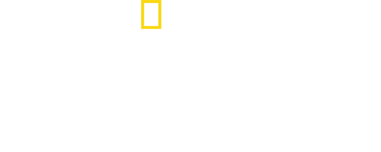 チンパンジーの楽園
