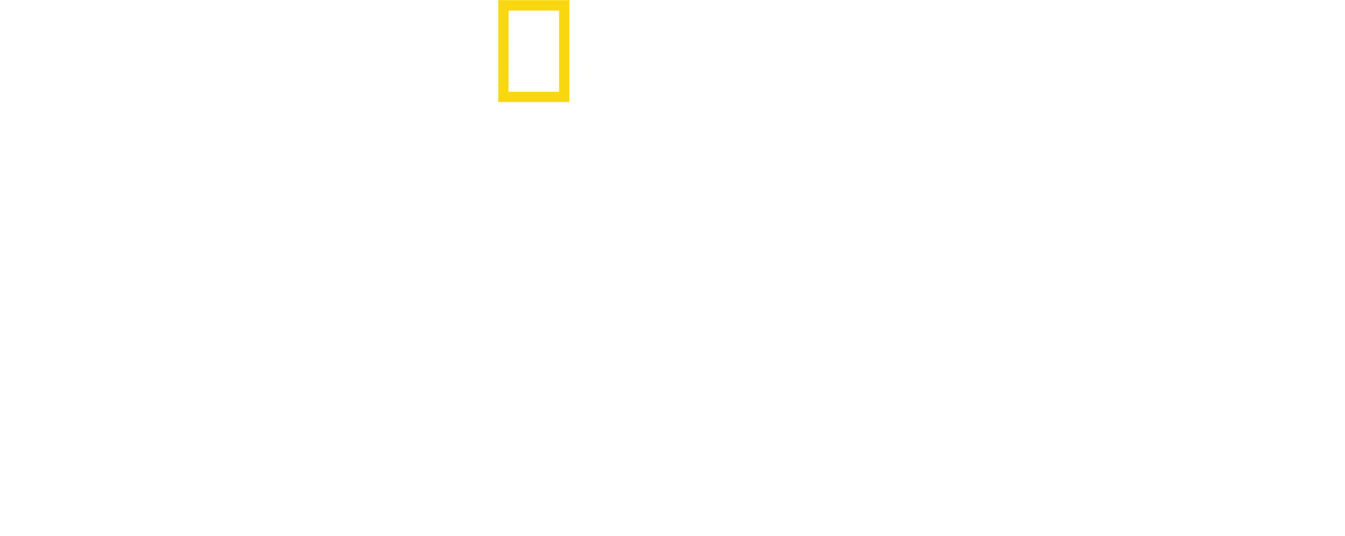 チンパンジーの楽園