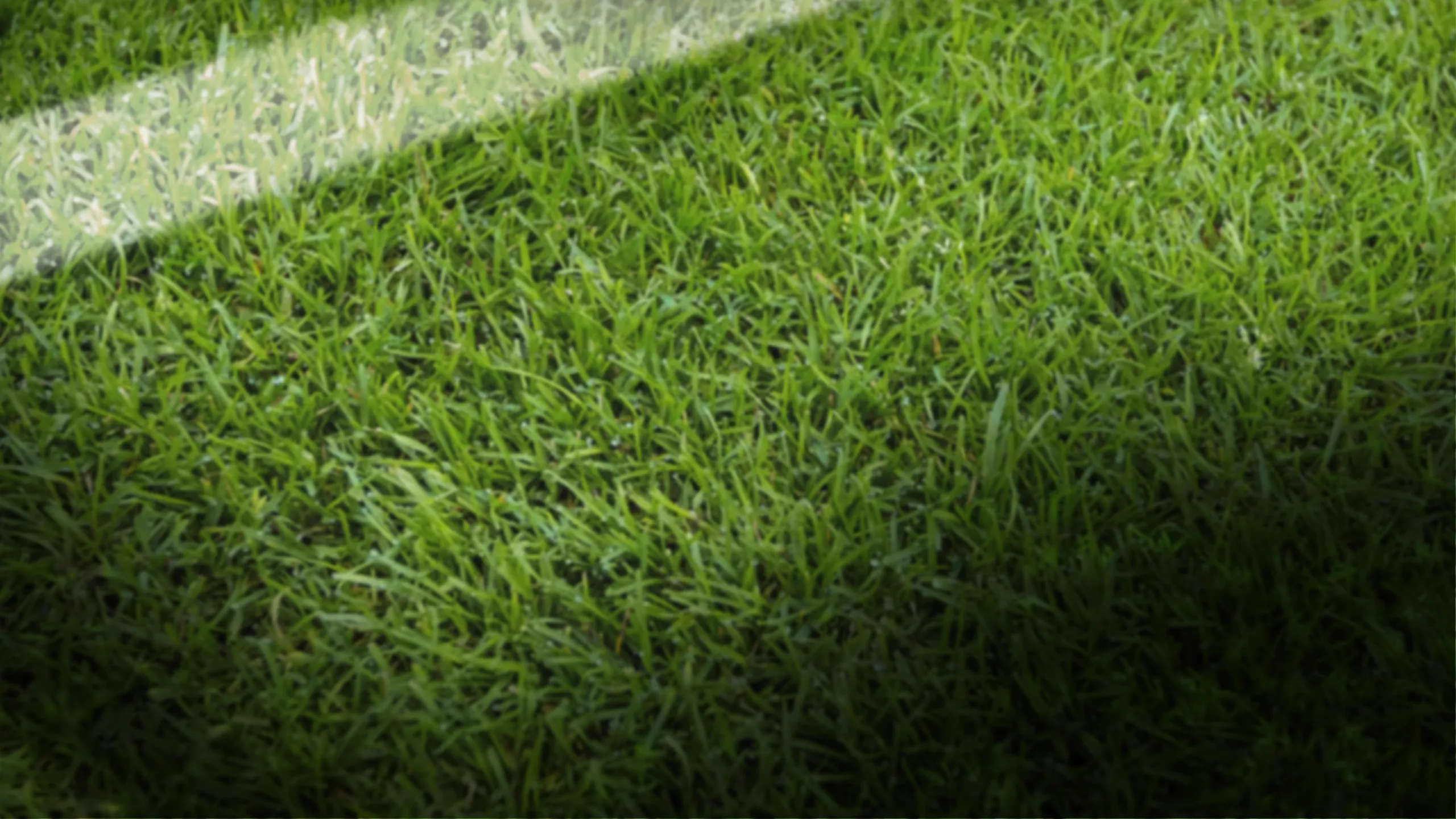 Soccer Made in Germany