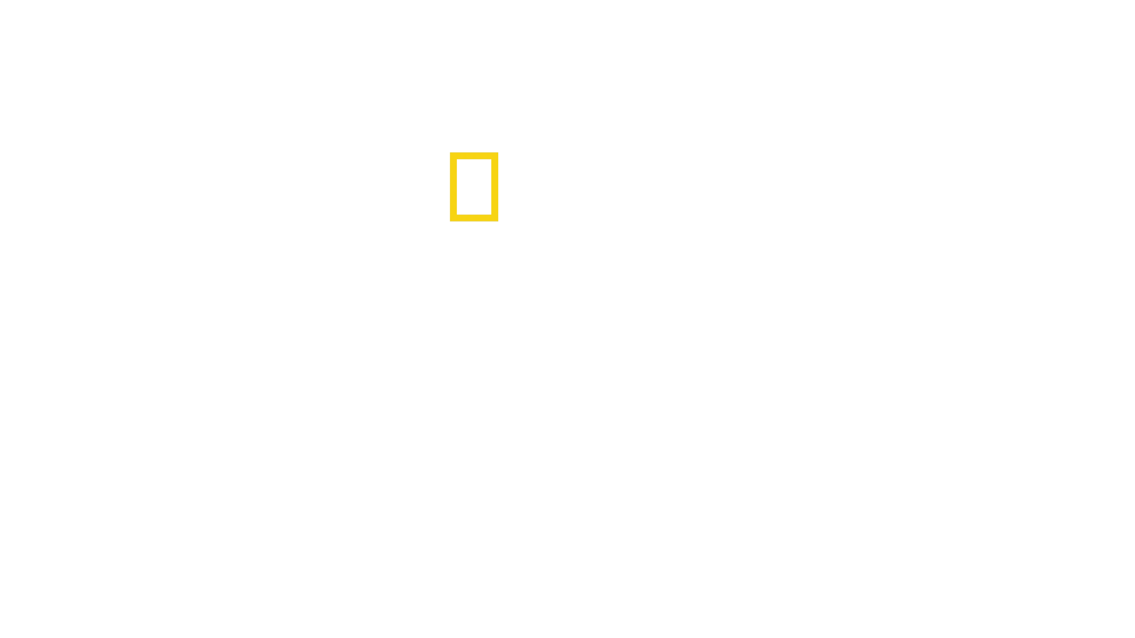 Ainutlaatuiset mustekalat