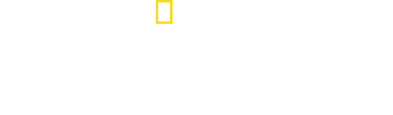 Ainutlaatuiset mustekalat