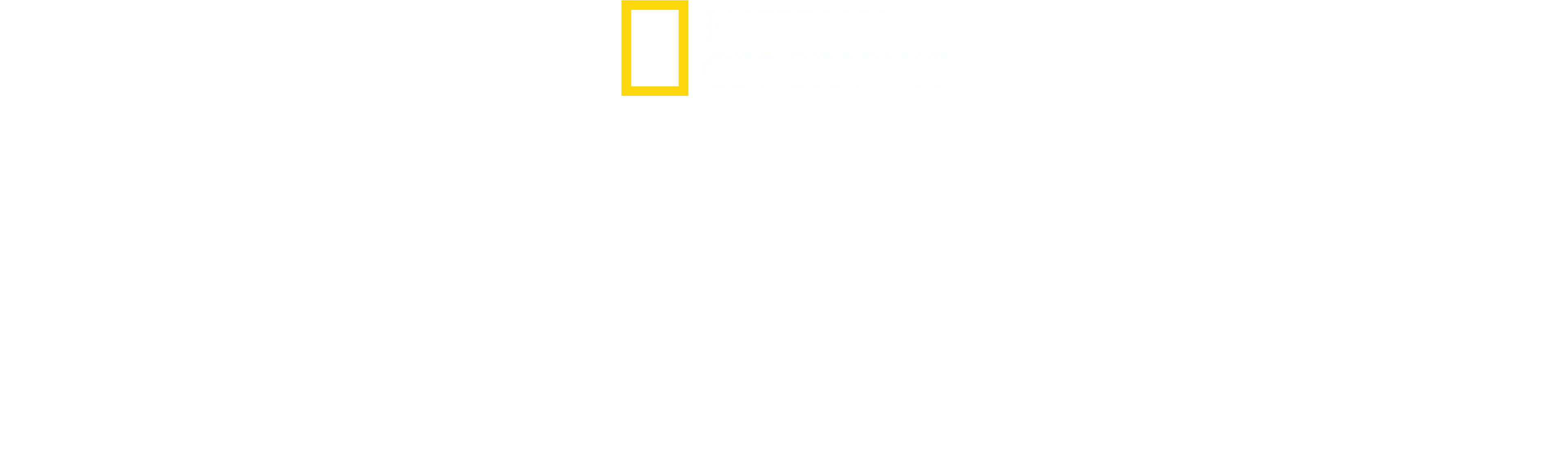 Ainutlaatuiset mustekalat