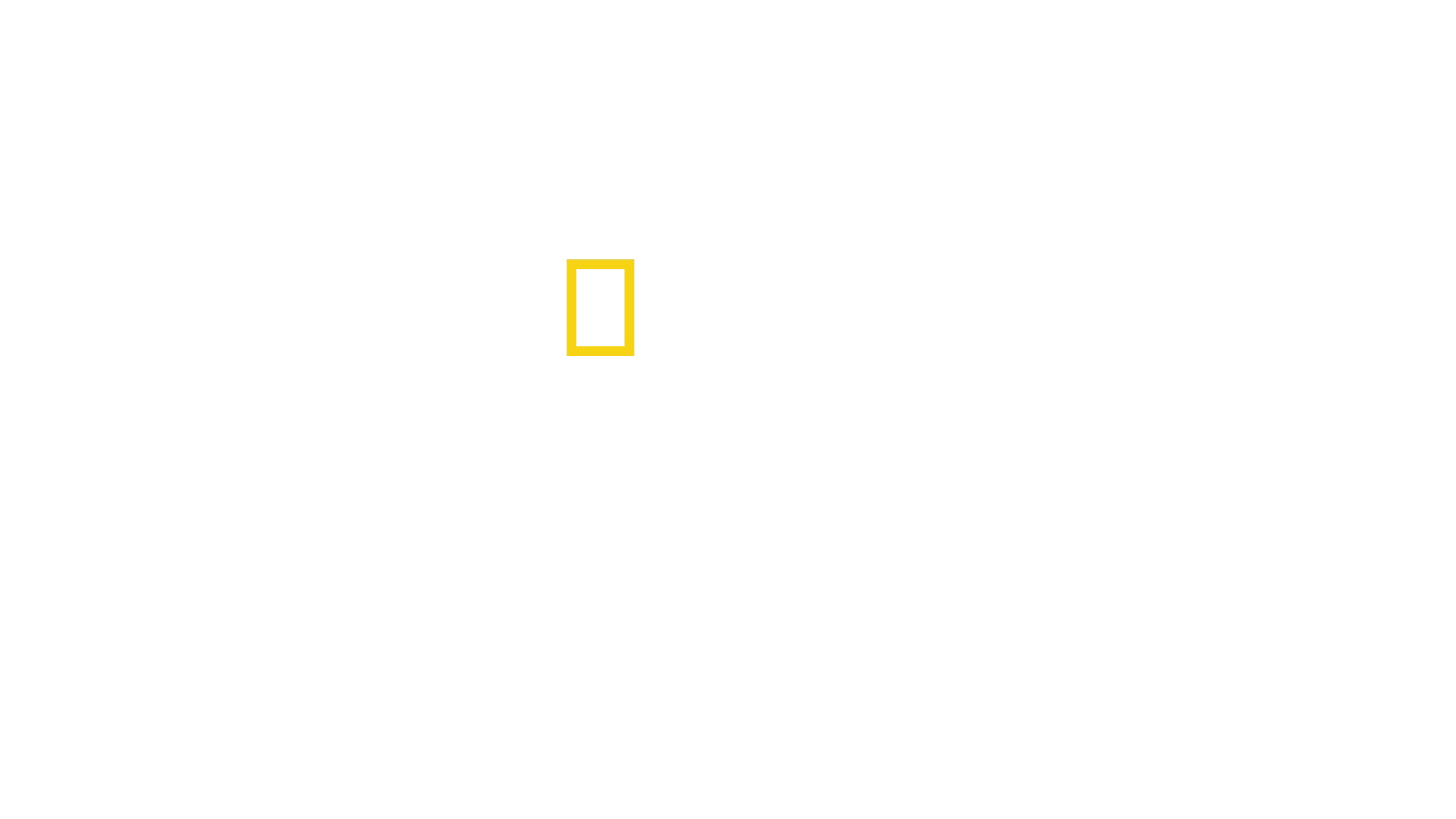 Tiburones vs. embarcaciones