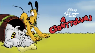 thumbnail - A csonttolvaj