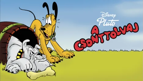 thumbnail - A csonttolvaj