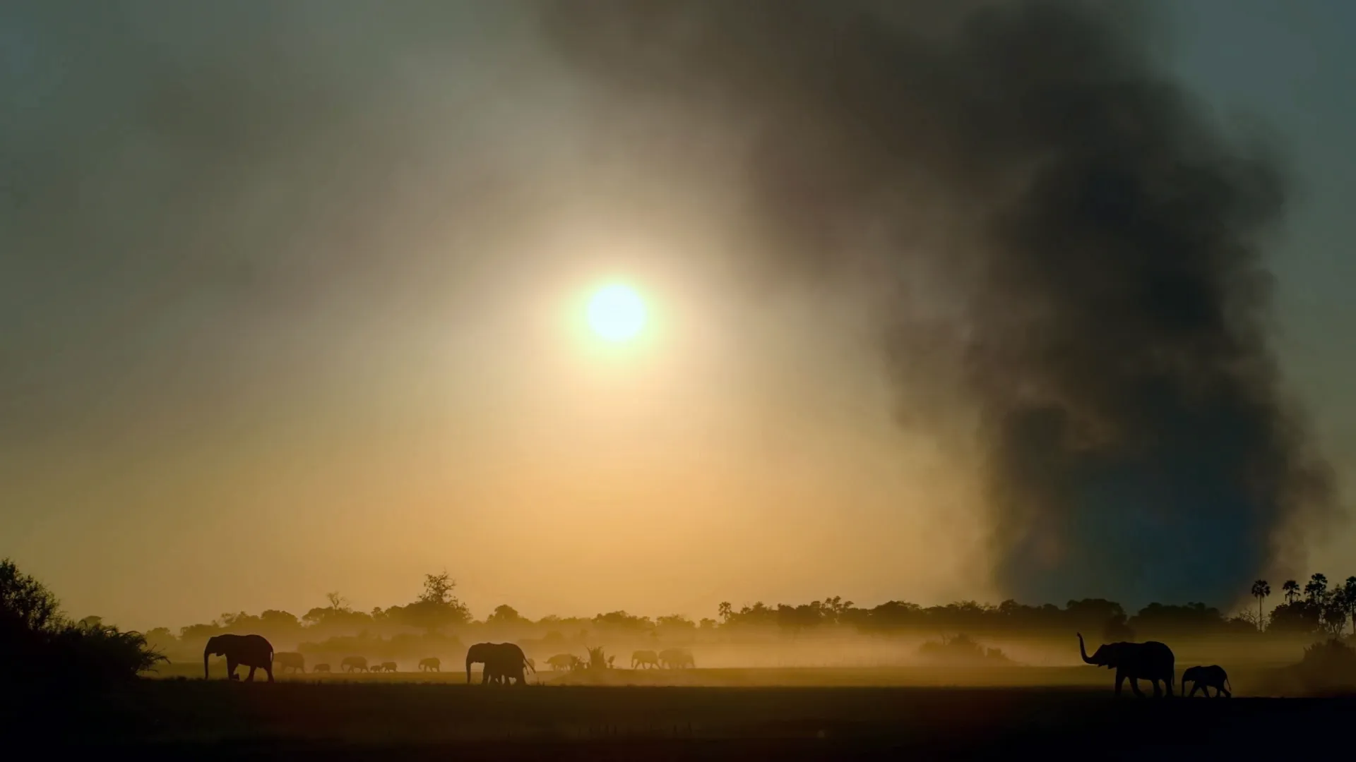 thumbnail - S4:E4 Line of Fire